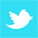 ridgetopMarketingSocialIcons_twitter